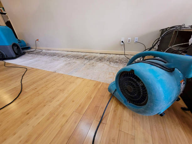 Reliable Basement Flood Cleanup contractor in New Cumberland, WV by Hirex Water Damage