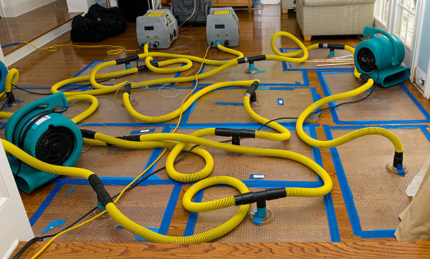 Professional Basement Flood Cleanup technician working in New Cumberland, WV